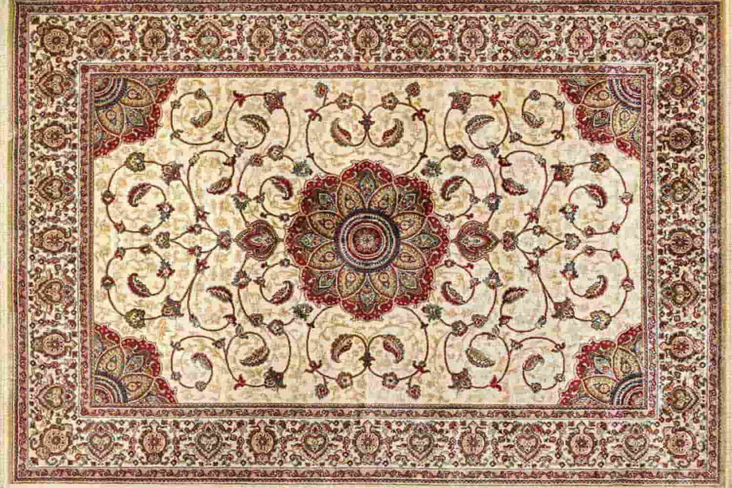 Kashmir Ivory
